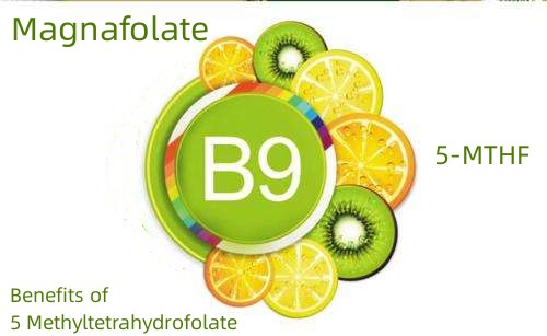 Avantages du 5 méthyltétrahydrofolate