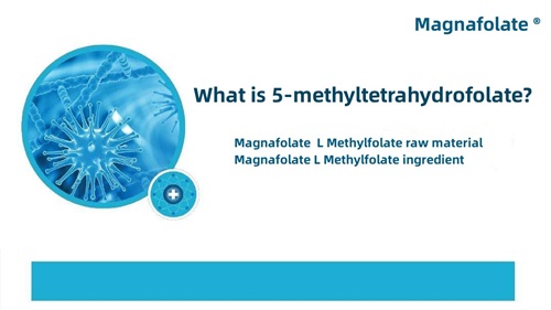 Qu'est-ce que le 5-méthyltétrahydrofolate ?