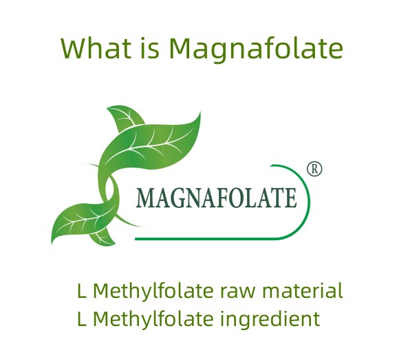 Qu’est-ce que le Magnafolate ?