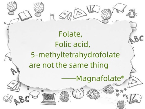 Le folate, l'acide folique et le 5-méthyltétrahydrofolate ne sont pas la même chose