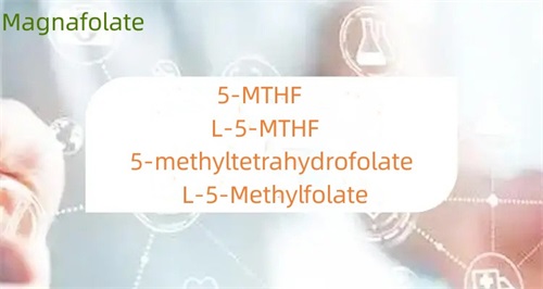 Quelle est la différence entre le 5-méthyltétrahydrofolate et le folate