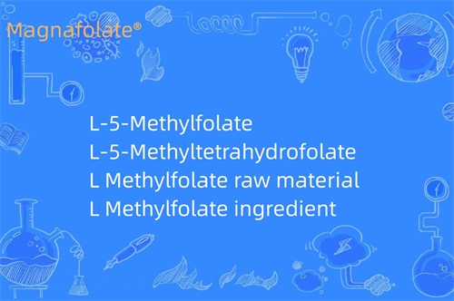 Que fait le L méthylfolate ?