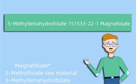 5-méthyltétrahydrofolate 151533-22-1 Magnafolate