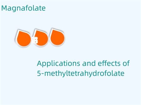 Applications et effets du 5-méthyltétrahydrofolate