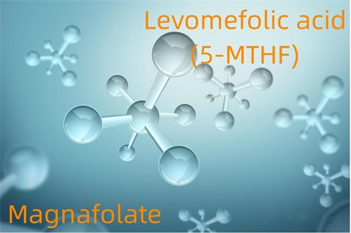 Acide lévoméfolique (5-MTHF)-Magnafolate