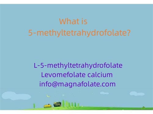 Qu'est-ce que le 5-méthyltétrahydrofolate ?
