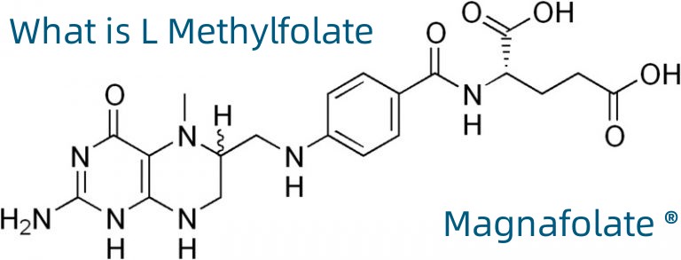 L-5-méthyltétrahydrofolate de calcium No CAS : 151533-22-1