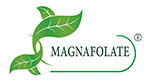 Magnafolate® VS acide folique