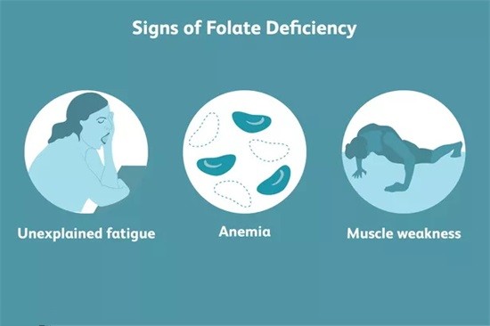 Qu’est-ce que le folate et quels sont ses effets ?