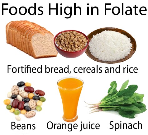 Classification du folate - Folate alimentaire