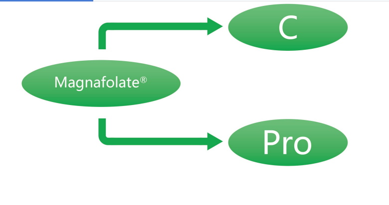 Magnafolate C et Pro—L-Méthylfolate Calcium