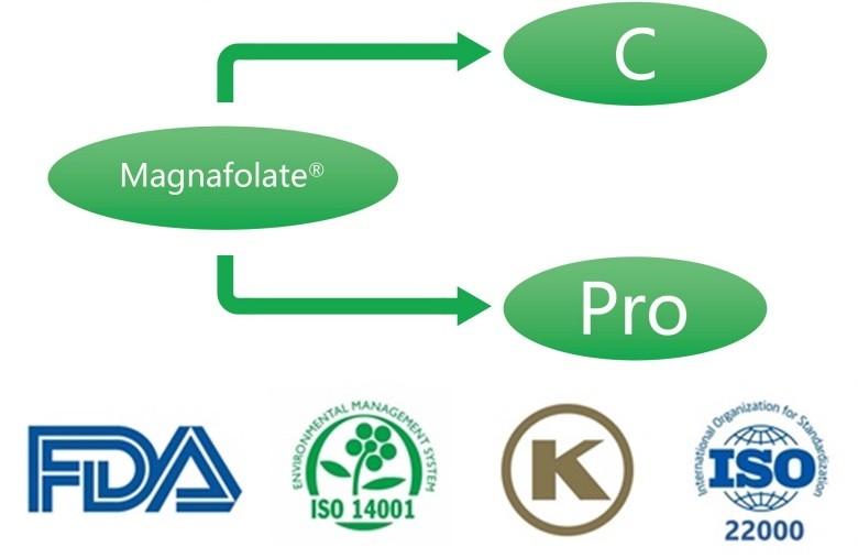 Qu'est-ce que le L-5-méthyltétrahydrofolate de calcium ? Quels sont les fournisseurs ?