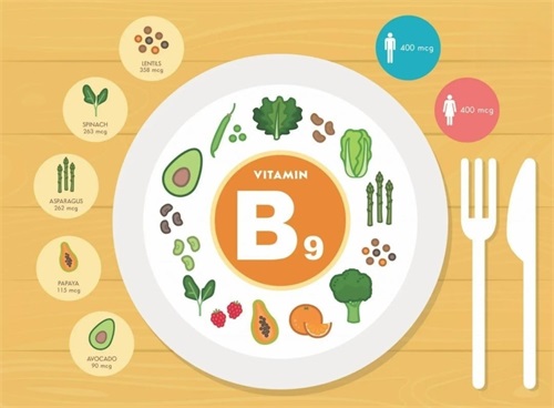 Quel est le mal d'une carence en folate-Magnafolate