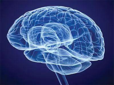 Le folate protège le système nerveux et prévient la démence et le Parkinson