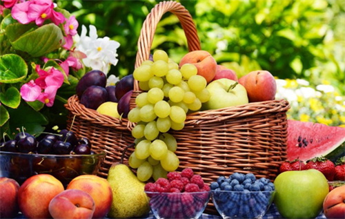 Avantages de la supplémentation en folate