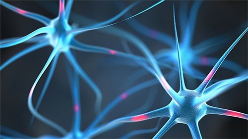 Pourquoi une carence en folate peut entraîner des problèmes neurologiques