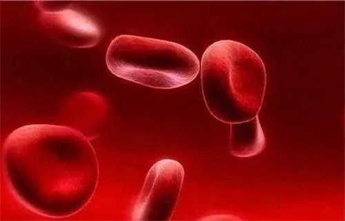 Pourquoi une carence en folate provoque des problèmes du système immunitaire