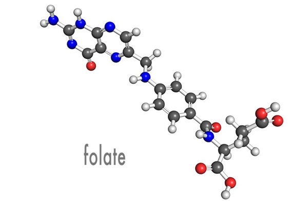 Série Introduction aux impuretés foliques actives