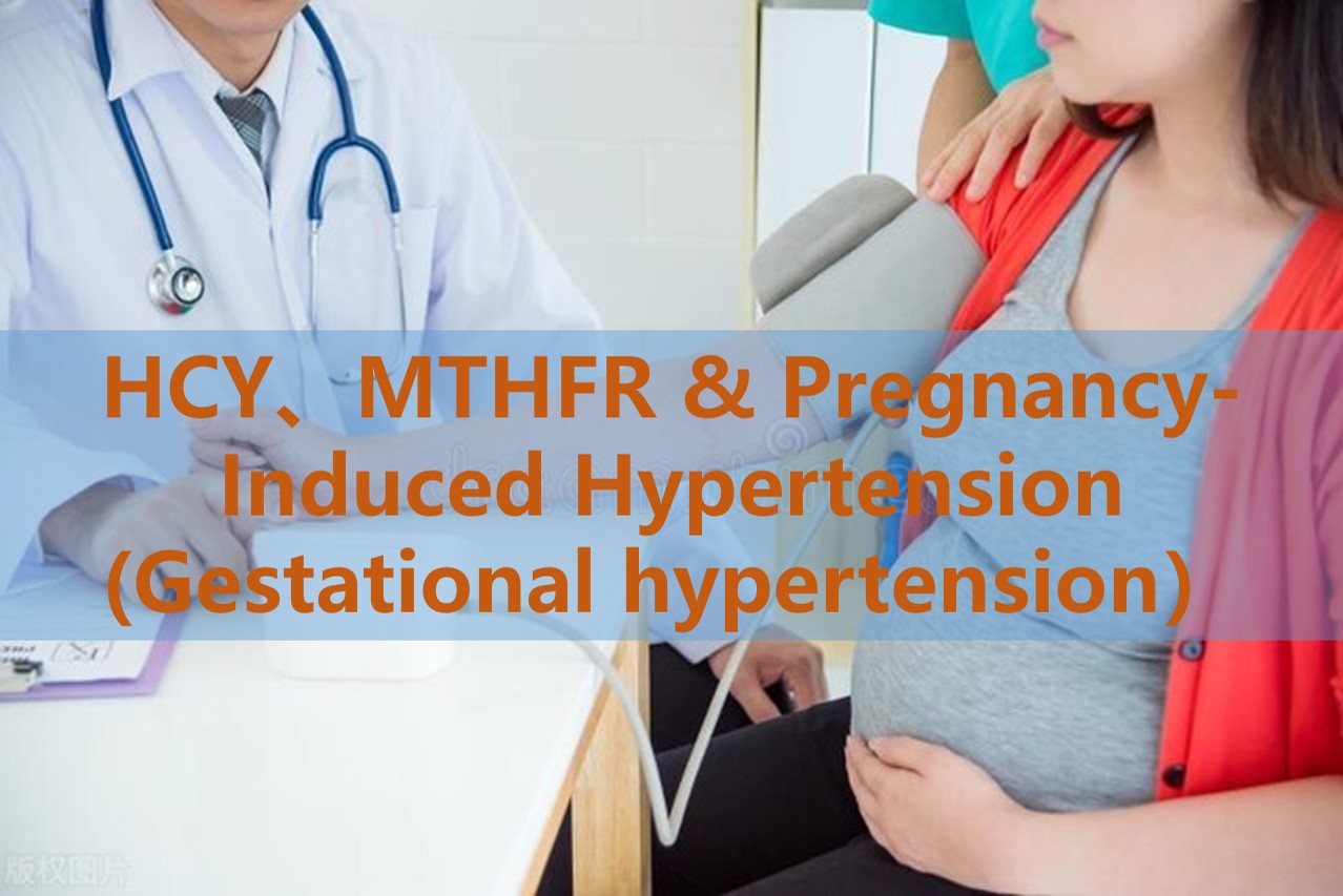 Supplémentation en folate et hypertension induite par la grossesse (hypertension gestationnelle): le rôle des niveaux d'homocystéine et des polymorphismes génétiques du MTHFR