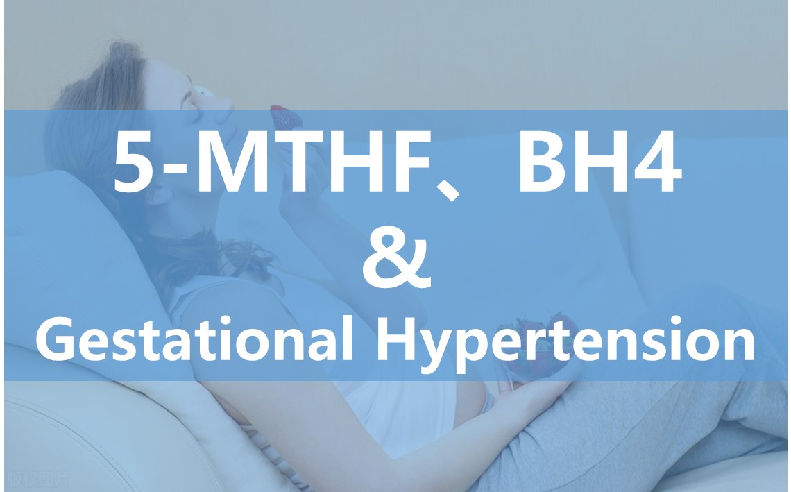 L'impact de 6S-5-méthyltétrahydrofolate sur la fonction des cellules endothéliales pendant la grossesse et son potentiel dans le traitement de l'hypertension gestationnelle