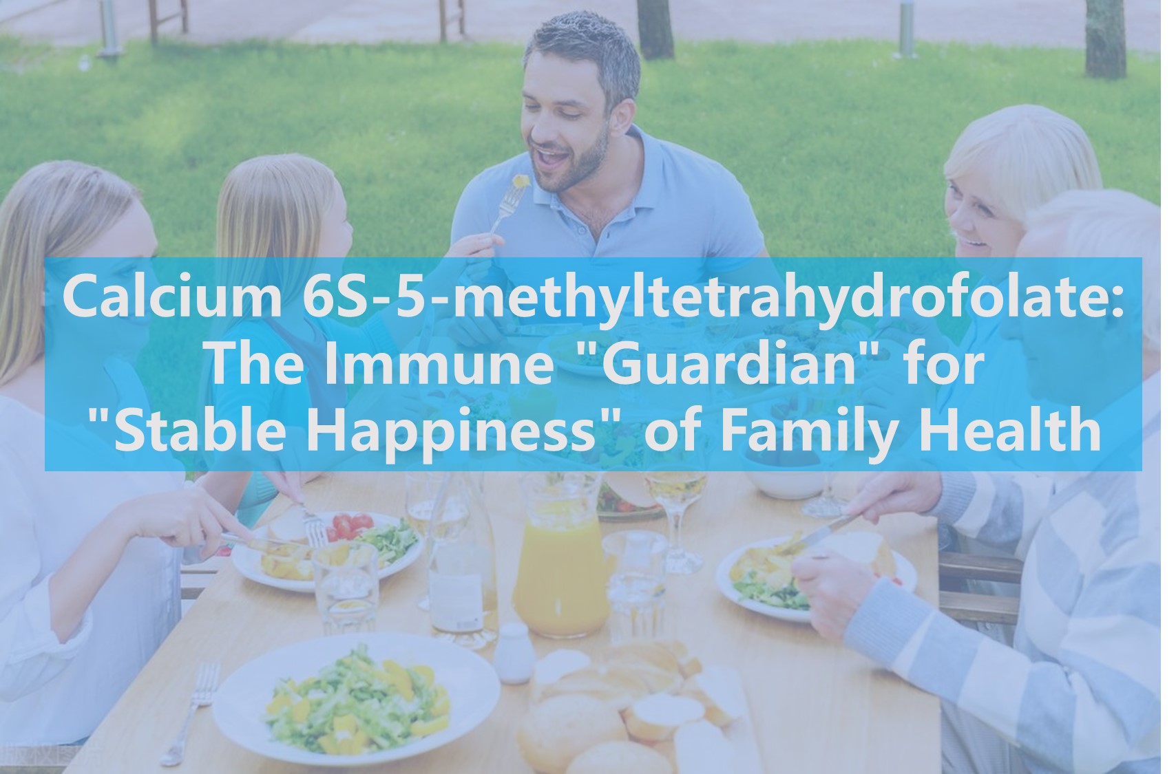 Calcium 6S-5-méthyltétrahydrofolate: le 