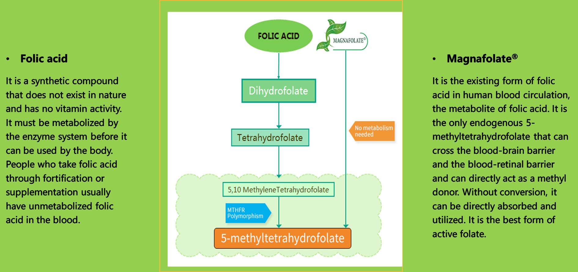 Évitez les pièges de la supplémentation en folate pendant la grossesse: des doses élevées d'acide folique synthétique peuvent poser des risques cachés, le folate de naturalisation (magnafolate) est plus sûr