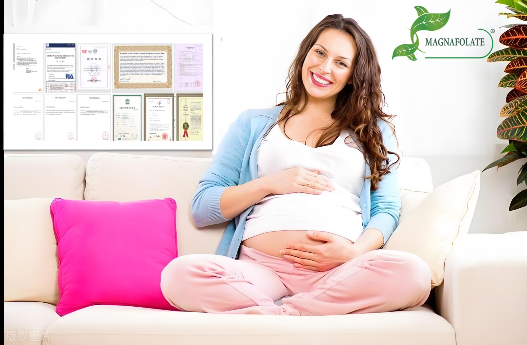 Revenus de licences à l'étranger reçus | Jinkang Hexin franchit une double étape en matière de technologie et de marché